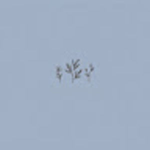 Meet your Posher, Lilly